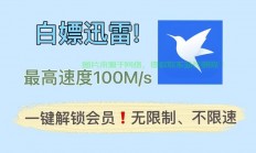 战1迅雷极速下载秘籍，轻松掌握高效下载技巧