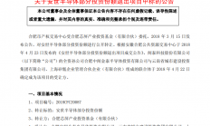 脱颖而出 闻泰科技成安世半导体第一大股东
