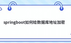 springboot如何给数据库地址加密