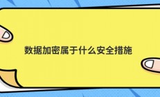 数据加密属于什么安全措施