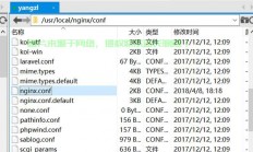 dw服务器根目录怎么设置?