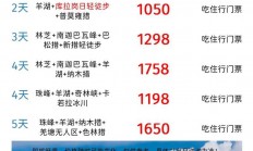 西藏VPS价格大揭秘，超值实惠，满足您所有需求！