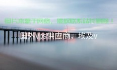 探寻顶级VPS供应商，专业可靠的选择指南，让你的业务飞速前行！