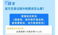 手机房产缴税全攻略，轻松掌握缴税地点与流程！