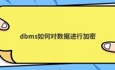 dbms如何对数据进行加密
