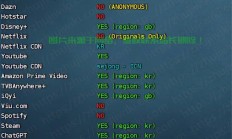 VPS端口开放全解析，哪些端口必须开放以确保顺畅连接？