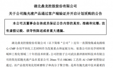 鼎龙股份：氧化铝抛光液产品已通过客户端验证，并开启计划采购