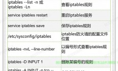 VPS数据一键清空重置，详解操作指南