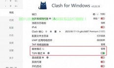 防止VPS被封禁，实用技巧与策略，让你的服务器远离封锁风险！