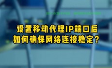 VPS代理IP搭建秘籍，轻松高效设置，稳定畅游网络！