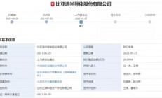 募资20亿元，比亚迪半导体创业板首发过会