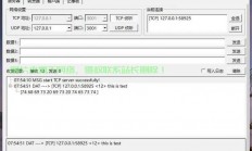 NAT VPS SS UDP转发解析，构建高效数据传输通道实战指南！