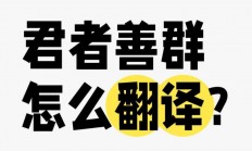 深度揭秘，探寻君的真实意图与情感故事，情感解析大揭秘！