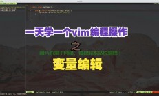 Vim全选复制秘籍，文本编辑的高效操作之道！