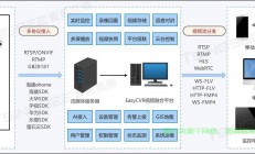 真相揭秘，国产VPS无需下载，免费使用！