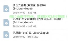 轻松文件传输至VPS教程，一步步操作指南