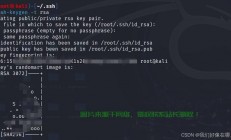VPS SSH登录故障解析与解决方案