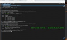 DIY虚拟私人服务器，VPS自建攻略大揭秘！