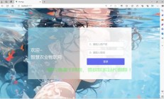 VPS店铺登录攻略，一步掌握轻松进店！