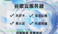 谷歌云VPS域名绑定指南，轻松实现域名与服务的完美对接