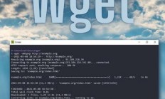 在 Linux 中使用 wget 下载文件非常简单，以下是详细用法和常见示例，如何在Linux中轻松使用wget下载文件？超详细教程！，想在Linux中一键下载文件？wget命令的终极指南你掌握了吗？