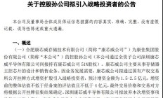 存储器主控芯片厂商康芯威拟引入战略投资者