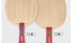 斯蒂卡VPS木材，独特优势大揭秘！