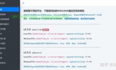VPS云端极致力量，高效运行程序引领未来