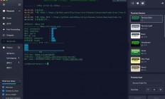 VPS IP映射全攻略，个性化网络配置轻松实现！