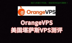 VPS20海外应用拓展与优势深度解析