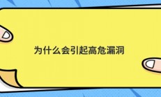 为什么会引起高危漏洞