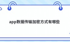 app数据传输加密方式有哪些
