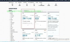 亚马逊VPS是否支持中文？揭秘真相！