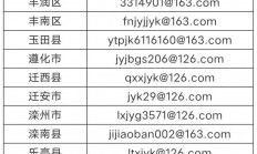 揭秘举报途径，正确使用举报邮箱，维护权益的关键所在