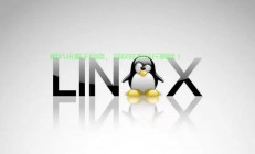 Linux与GNU，自由软件运动的基石与未来，Linux与GNU，谁才是自由软件运动的真正灵魂？，Linux与GNU，谁才是自由软件运动的真正灵魂？