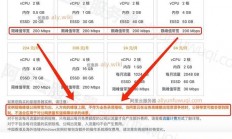 国内VPS价格全揭秘，超值服务器租用费用大公开！