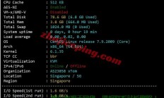 搬瓦工VPS云存储，高效存储新选择！