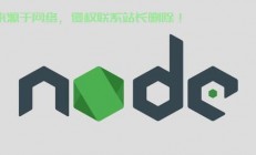 Node.js VPS服务，高效稳定之选！