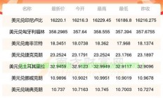 超低价VPS服务体验，每月仅需1美元！