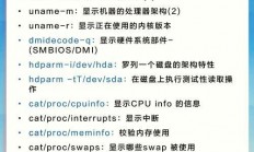 Vi编辑器在Linux系统中的高效使用指南，Vi编辑器到底有多高效？掌握这些技巧让你在Linux上飞起来！，Vi编辑器究竟有多高效？掌握这些技巧让你在Linux上飞起来！