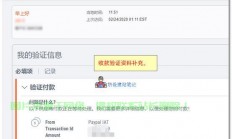 Payoneer下载指南，轻松获取应用，一键上手操作！