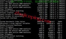 软银线路VPS，极速稳定，专业首选！