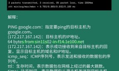 Linux Ping命令停不下来？原因与解决方法详解，Linux Ping命令无限循环？5个快速解决妙招！，Linux Ping命令无限循环？5个快速解决妙招！