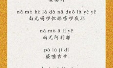 轻松下载大悲咒的步骤指南，一步步教你如何轻松获取！