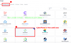 VPS网站搭建全攻略，轻松实现网站访问，轻松上手！