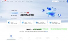 探寻国内VPS服务顶尖之选，哪家公司更胜一筹？