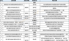 2023年四川省新名单出炉，德州仪器、成都士兰、中国电子等上榜