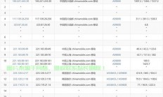 揭秘免费VPS回国节点，轻松切换网络，实现自由畅游！