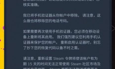 双重保障，VPS防盗与盗抢险深度解析，你的安全之选！