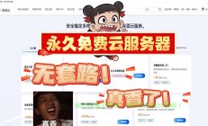 揭秘永久免费VPS赚钱秘籍，轻松开启网络盈利之门！